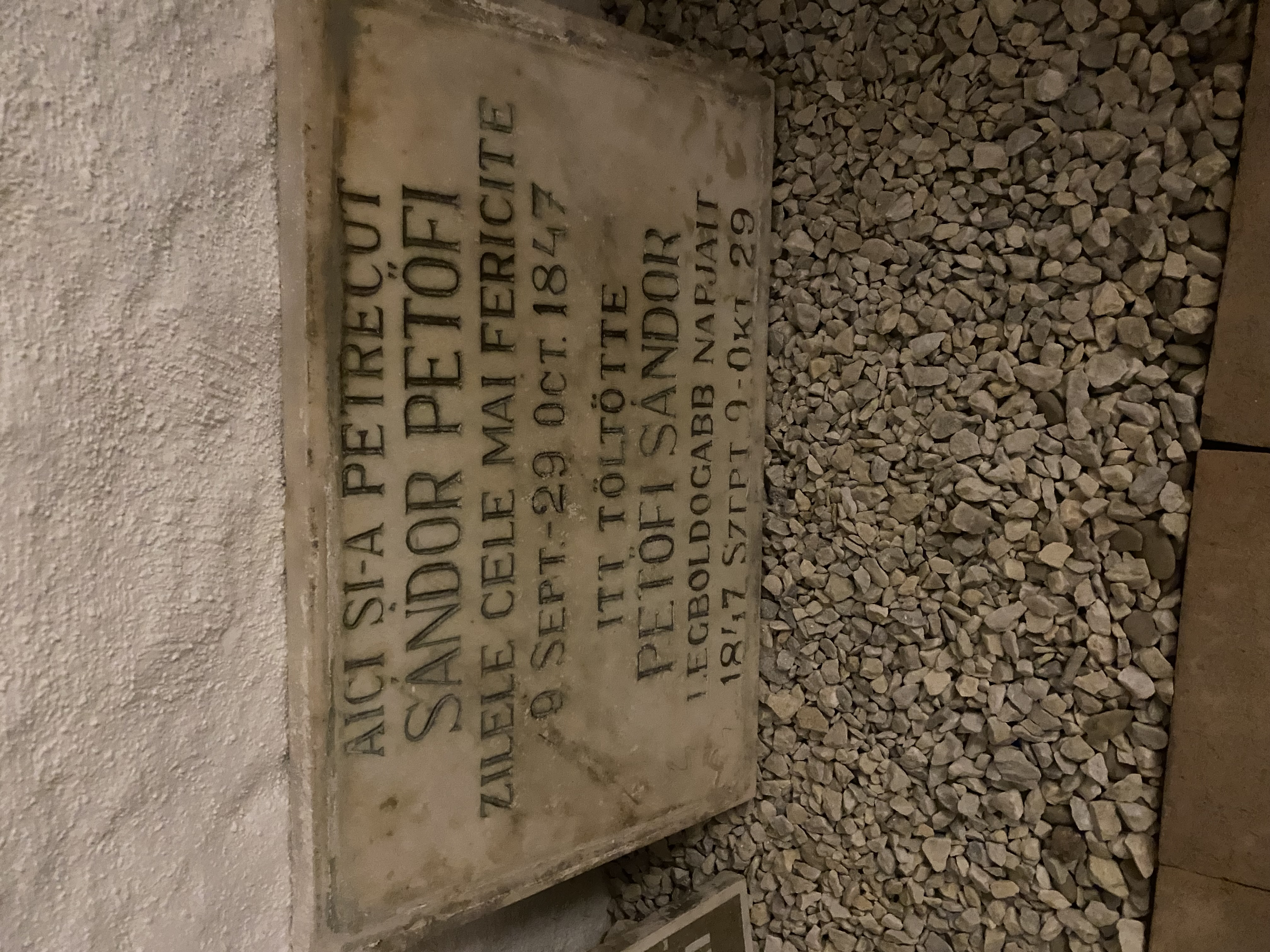 IMG 3674